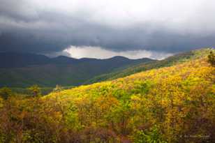 Storm in the Smokies-9034.jpg Storm in the Smokies-9034.jpg